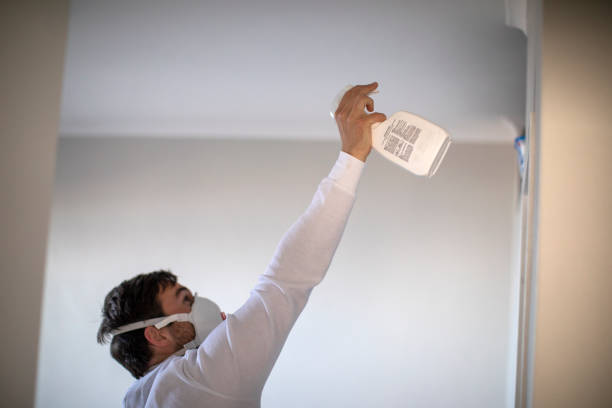 Best Mold Damage Repair  in Natalbany, LA